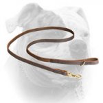 (image for) Elegant Leather American Bulldog Leash Stitched