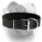 (image for) American Bulldog Collar for Agitation Training