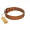 (image for) "Terra-cotta" FDT Artisan Tan Leather American Bulldog Collar with Two Rows of Studs