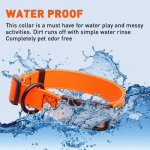 (image for) Biothane Waterproof Collar with Quick Release Buckle_12