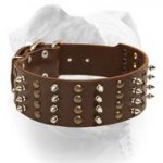 (image for) Spiky Leather Collar For American Bulldog