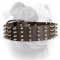 (image for) Stylish elegant 2 inch wide spiked leather American Bulldog collar