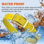 (image for) Viper Biothane Collar with Brass Hardware_1