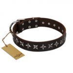 (image for) "Stars of Glory" FDT Artisan Brown Leather American Bulldog Collar for Comfortable Walking