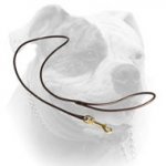 (image for) Leather dog shows round leash for American Bulldog