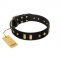 (image for) "De Luxe" FDT Artisan Black Leather American Bulldog Collar with Old Bronze-like Plates and Studs