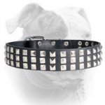(image for) Silver Pyramid Leather Collar for American Bulldog