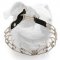 (image for) Stainless steel American Bulldog pinch prong collar with click lock buckle and nylon loop