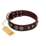(image for) "Choco Brownie" FDT Artisan Brown Leather American Bulldog Collar Adorned with Silver-Like Conchos