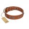 (image for) "Brave Spirit" Handmade FDT Artisan Designer Tan Leather American Bulldog Collar with Shields