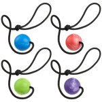 (image for) Dogline Euro Ball on Rope