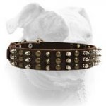 (image for) Big collar-Studs and Spikes leather dog collar for Large breeds