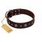(image for) "Pure Sensation" Exclusive FDT Artisan Brown Leather American Bulldog Collar with Fancy Brooches and Studs