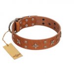 (image for) "Dreamy Gleam" FDT Artisan Tan Leather American Bulldog Collar Adorned with Stars and Squares