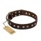 (image for) "Bronze Sheen" FDT Artisan Leather American Bulldog Collar with Brass-Plated Studs