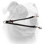 (image for) Nylon 2-Way Coupler Leash for American Bulldogs