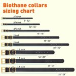 (image for) Viper Biothane Collar with Brass Hardware_14