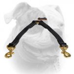 (image for) Double Dog Leash Coupler for two American Bulldogs