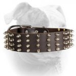 (image for) Stylish elegant 2 inch wide spiked leather American Bulldog collar