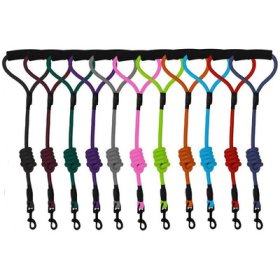 (image for) Round Nylon Leash