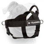 (image for) American Bulldog Nylon Harness for Professional Training