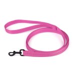 (image for) Nylon Traffic Leash_7