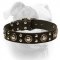(image for) Leather American Bulldog Collar With Mix of Bright Decorations