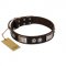 (image for) "Baller Status" FDT Artisan Brown Leather American Bulldog Collar Adorned with a Set of Chrome Plated Studs and Plates