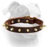 (image for) Handmade luxury leather American Bulldog collar with 1 row of spikes