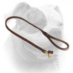 (image for) Stylish 4 foot-Braided Leather Dog Leash for American Bulldog