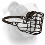 (image for) Universal Training Wire Muzzle for American Bulldog