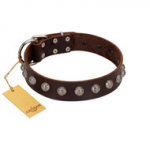 (image for) "Lucky Silver" Designer Handmade FDT Artisan Brown Leather American Bulldog Collar
