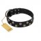 (image for) "Egyptian Style" Handcrafted FDT Artisan Black Leather American Bulldog Collar with Medallions
