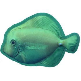 (image for) 11" Tropical Surgeonfish