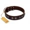(image for) "King Arthur" FDT Artisan Brown Leather American Bulldog Collar with Spiky Plates