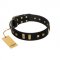 (image for) "Fit for Royalty" FDT Artisan Black Leather American Bulldog Collar with Plates and Small Square Studs