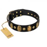 (image for) "Venerable Pawty" FDT Artisan Black Leather American Bulldog Collar with Old Bronze-like Ovals and Studs