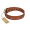 (image for) "Star Shine" Exclusive FDT Artisan Tan Leather American Bulldog Collar with Silver-Like Adornments
