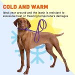 (image for) Biothane Waterproof Slip Lead_9