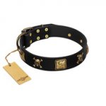 (image for) "Welcome on Board" FDT Artisan Black Leather American Bulldog Collar with Skulls and Crossbones Combined with Squares
