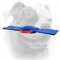 (image for) Pro Schutzhund Training American Bulldog bite pad