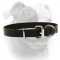(image for) Traditional Buckled Leather Collar for American Bulldog