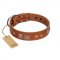 (image for) "Egyptian Gifts" Handmade FDT Artisan Tan Leather American Bulldog Collar with Chrome-plated Pyramids