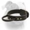 (image for) Extra Strong Multifunctional 2 ply leather agitation dog collar with handle.