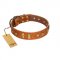 (image for) "Sand of Time" FDT Artisan Tan Leather American Bulldog Collar with Old Bronze-like Studs and Plates