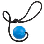 (image for) Dogline Euro Ball on Rope_2