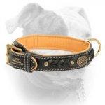 (image for) Classy Braided Nappa Leather American Bulldog Collar