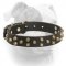 (image for) Comfortable leather American Bulldog collar with brass pyramids