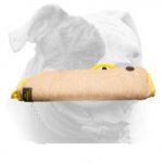 (image for) American Bulldog puppy sleeve made of strong yet safe jute