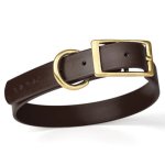(image for) Viper Biothane Collar with Brass Hardware_2